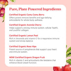 PURE SYNERGY Pure Radiance C | Cápsulas de Vitamina C Orgánica | 100% Natural, Alimento Integral, No-GMO con Camu Camu Orgánico | Apoyo Inmunitario y de Colágeno (90 Cápsulas)