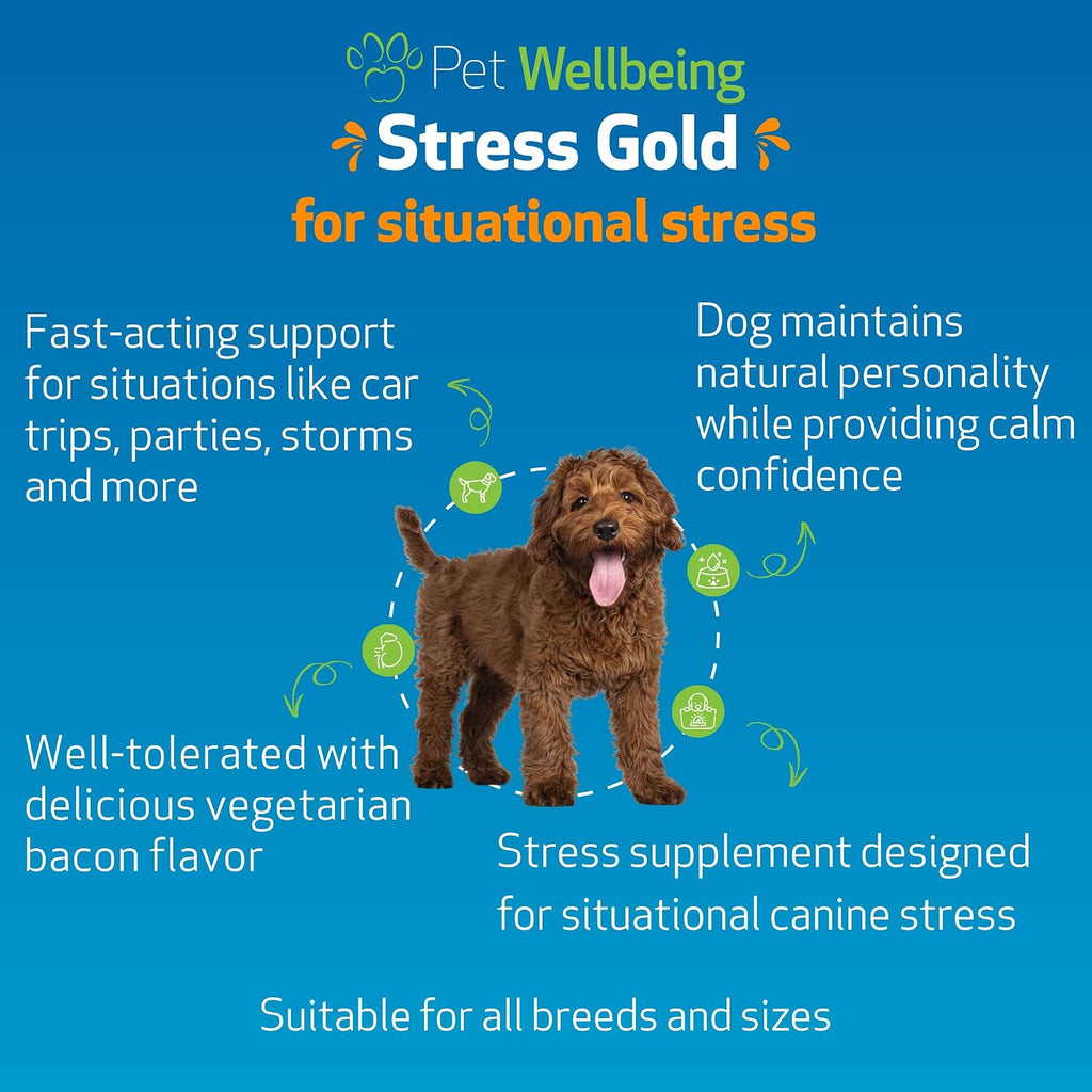 Pet Wellbeing Stress Gold para Perros - Fórmula Líquida Holística para el Estrés Situacional (60 ml)