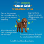 Pet Wellbeing Stress Gold para Perros - Fórmula Líquida Holística para el Estrés Situacional (60 ml)