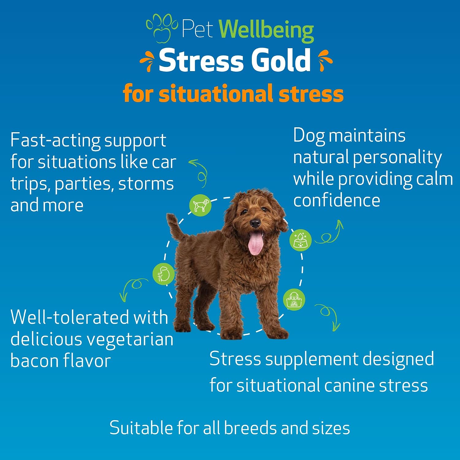 Pet Wellbeing Stress Gold para Perros - Fórmula Líquida Holística para el Estrés Situacional (60 ml)