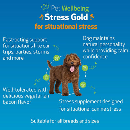 Pet Wellbeing Stress Gold para Perros - – Pasiflora (Passiflora incarnata) : partes aéreas en extracto, favorece – Image 2