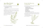 The Homestead Herbal Remedies Guide: Nurture Wellness with Safe and Natural Solutions (The Homestead Essentials)