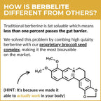 BerbElite - Berberina HCL con Complejo de Semillas de Brócoli, 350mg, 60 Cápsulas Veganas