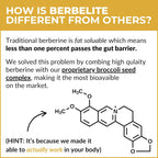 Mara Labs BerbElite | 350mg Berberina HCL con Complejo de Semillas de Brócoli | 30 Cápsulas Veganas
