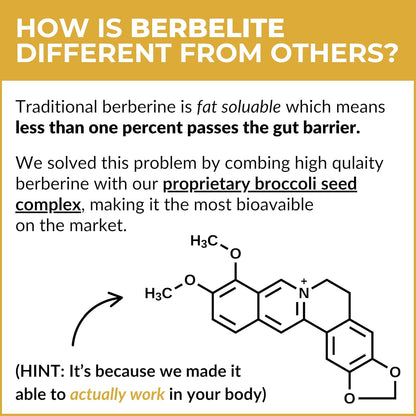 Mara Labs BerbElite | 350mg Berberina HCL con Complejo de Semillas de Brócoli | 120 Cápsulas Veganas
