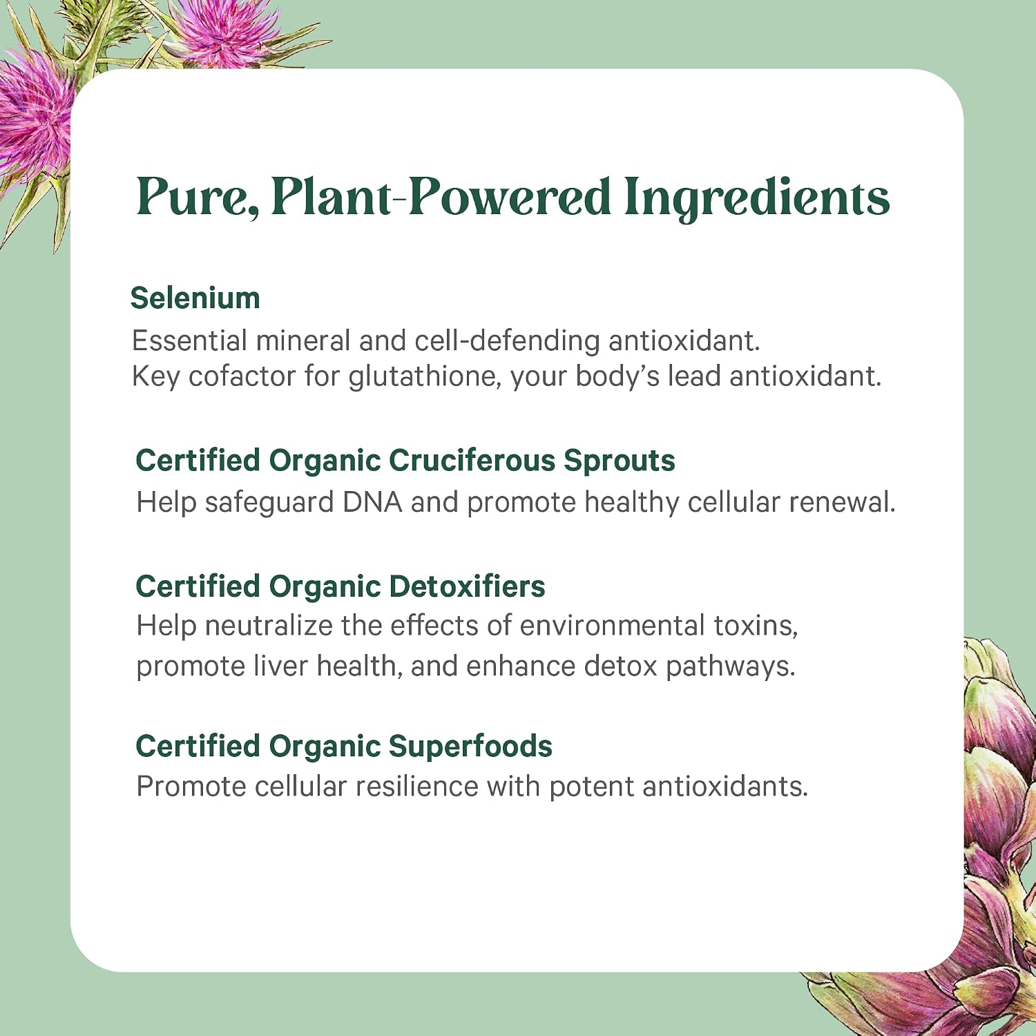 PURE SYNERGY Cell Protector | Suplemento para la Salud Celular | Apoyo Inmunitario y Desintoxicación con Selenio y Verduras Crucíferas Orgánicas (120 Cápsulas)