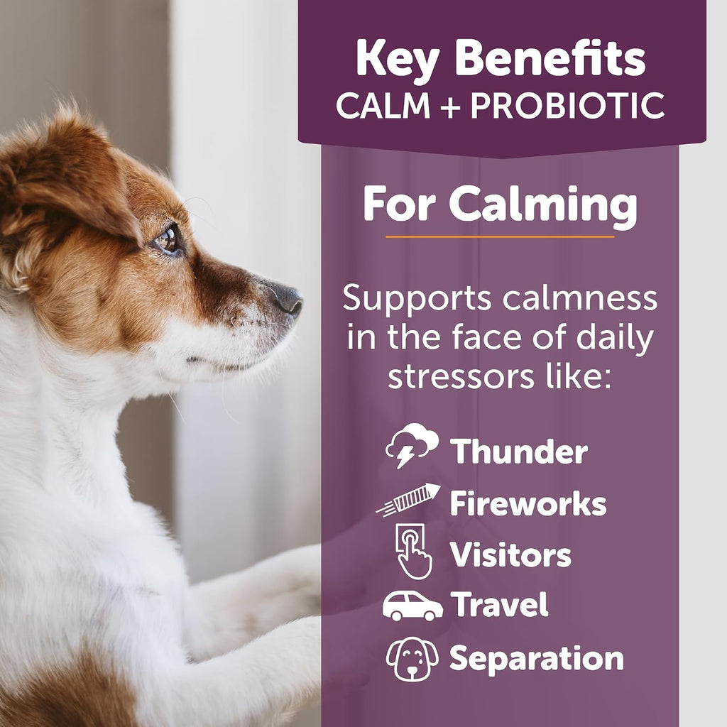 ThunderBites Calm + Probiotics para Perros - Masticables Suaves con Probióticos, Prebióticos y Postbióticos + Apoyo para el Estrés Diario, 90 unidades