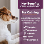 ThunderBites Calm + Probiotics para Perros - Masticables Suaves con Probióticos, Prebióticos y Postbióticos + Apoyo para el Estrés Diario, 90 unidades