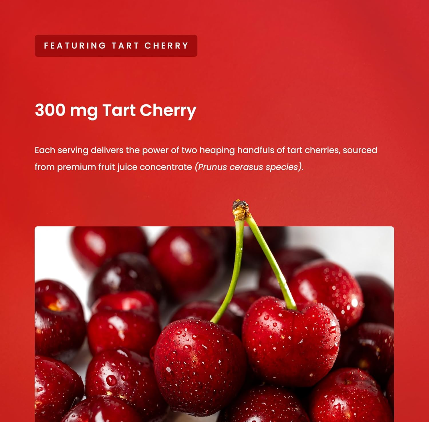 Gominolas de Cereza Ácida con Semilla de Apio – 120 unidades – Veganas, No GMO