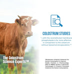 Colostrum-LD con Sistema de Liberación Liposomal - Polvo de Calostro - Sin Gluten, Bajo en Lactosa - 68 Dosis - 340g Vainilla