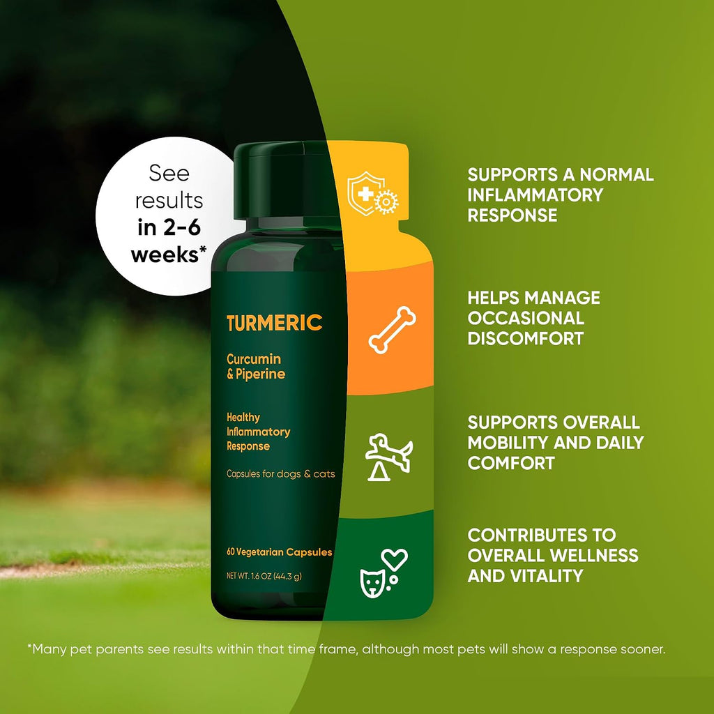 Rooted Owl® Cúrcuma para Perros y Gatos - Suplemento con Curcumina, Piperina y Vitamina C - 60 Cápsulas