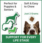 Vitamins for Dogs - 4 in 1 Complex with Omega, Glucosamine, Probiotics and Vitamins - 120 Ct (Pack of 1) - BBQ Beef