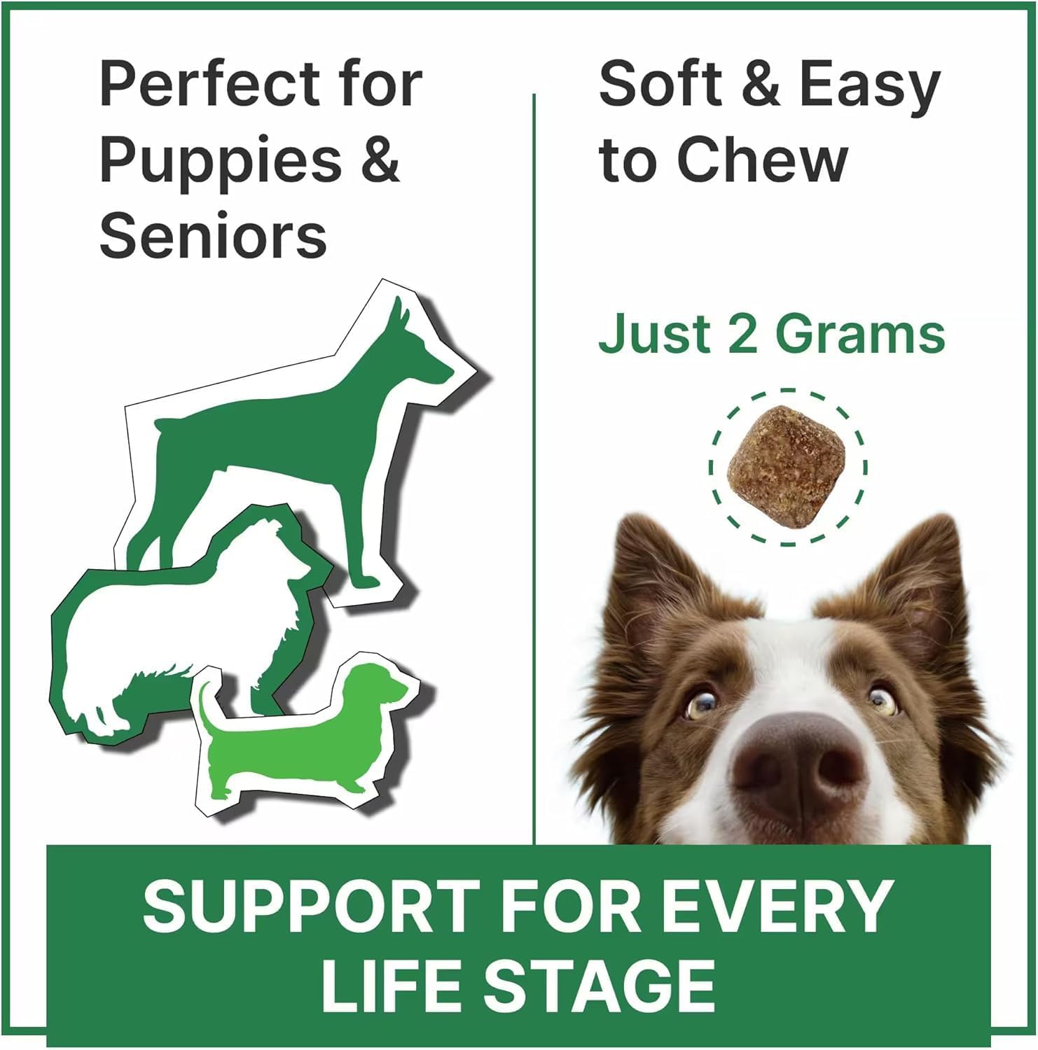 Vitamins for Dogs - 4 in 1 Complex with Omega, Glucosamine, Probiotics and Vitamins - 120 Ct (Pack of 1) - BBQ Beef