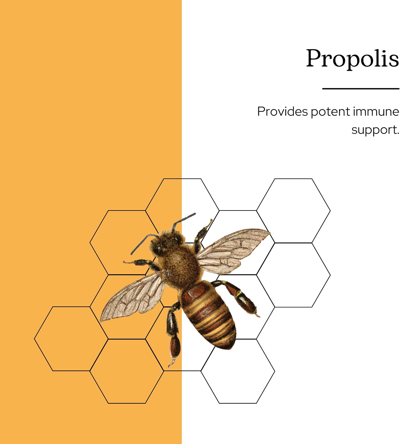 Eclectic Institute Propolis G, Naranja, 60 ml