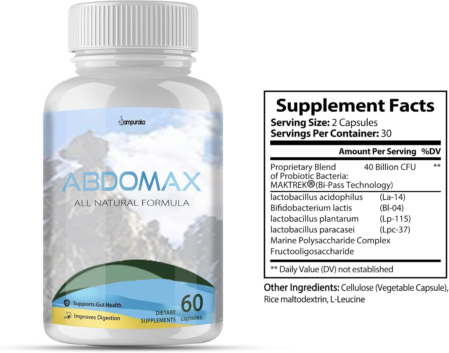 Abdomax Suplemento de Vitaminas y Minerales - 2 Paquetes (60 Días)