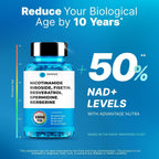 Complejo Liposomal NR con Resveratrol, Fisetina, Espermidina y Berberina - 500mg, 60 Cápsulas