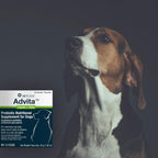 Vet One Advita Probióticos para Perros - 90 sobres (3 paquetes de 30)