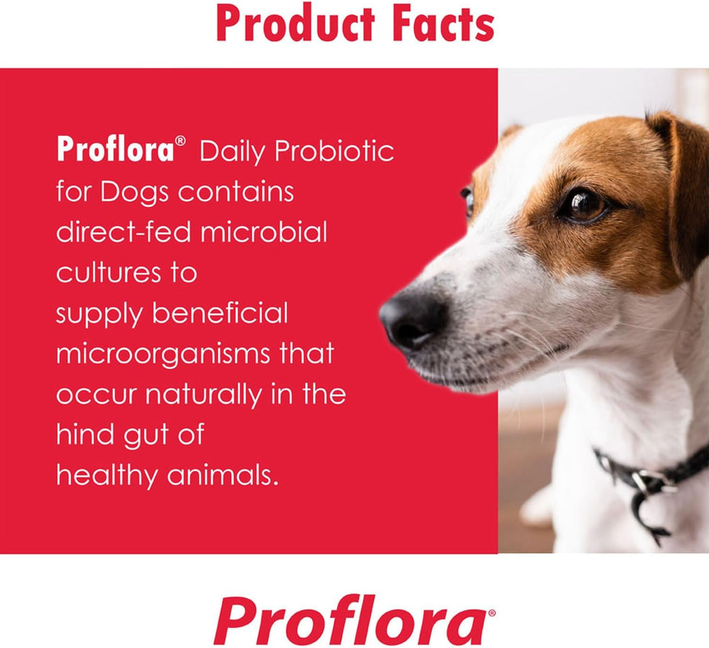 Proflora Masticables Blandos Probióticos para Perros - Probióticos para Perros - Salud Digestiva e Inmunitaria - 180 Masticables Blandos