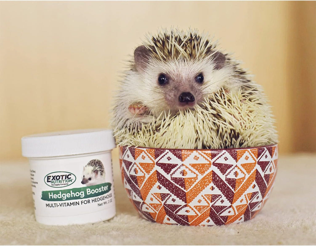Hedgehog Booster – Multivitamínico Completo en Polvo para Erizos (2 oz)