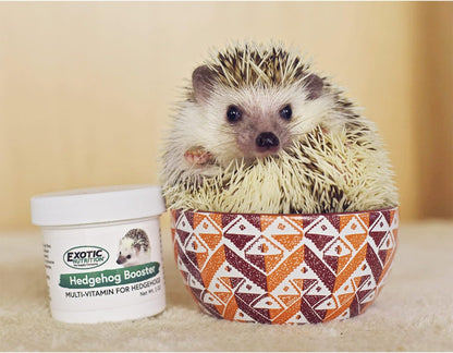 Hedgehog Booster – Multivitamínico Completo en Polvo para Erizos (2 oz) – Image 4