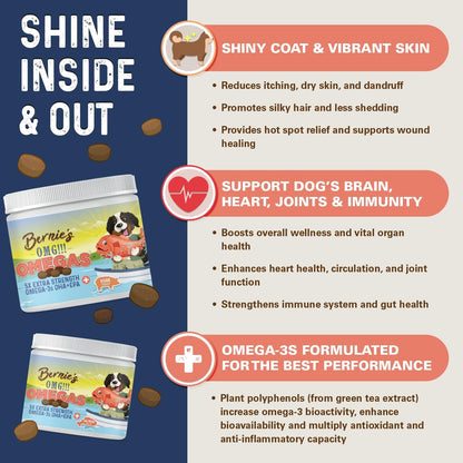 Bernie's OMG! Omegas Masticables para Perros – Función cardíaca y cerebral: El DHA es un componente estructural – Image 3