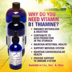 HoneyCombs Suplemento de Vitamina B1 (Tiamina) Gotas Líquidas - Alta Potencia para Hombres y Mujeres - Mantiene el Sistema Nervioso, la Energía y la Salud General - Vitaminas B Veganas (237 ml)