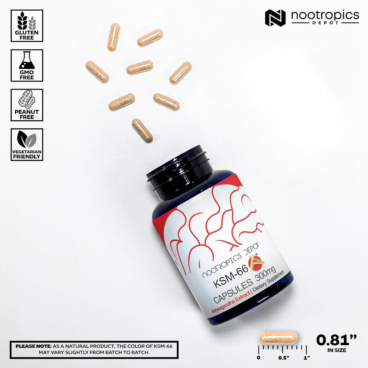 Nootropics Depot KSM-66 Ashwagandha – 300 mg, 90 Cápsulas – Image 3