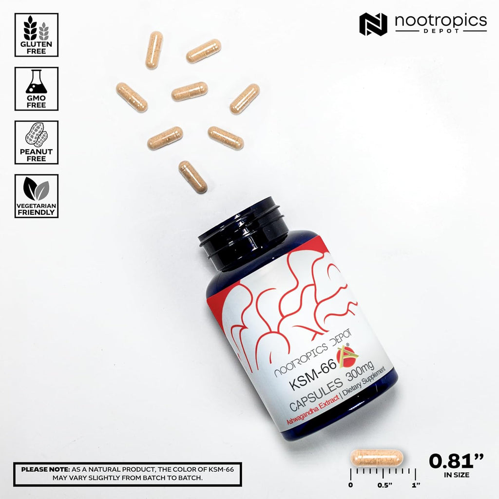 Nootropics Depot KSM-66 Ashwagandha Capsules - 300mg - 180 Capsules