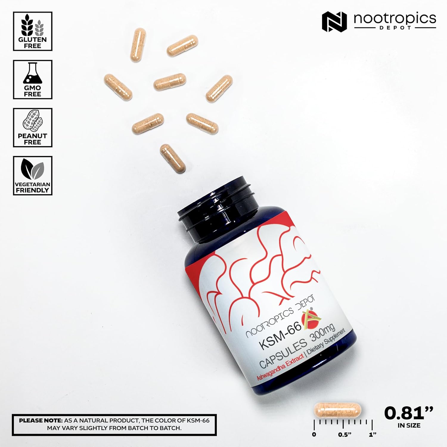 Nootropics Depot KSM-66 Ashwagandha Capsules - 300mg - 180 Capsules