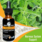 Cedar Bear - Holy Basil Leaf (Tulsi) - Adaptogen Liquid Supplement, 30 ml