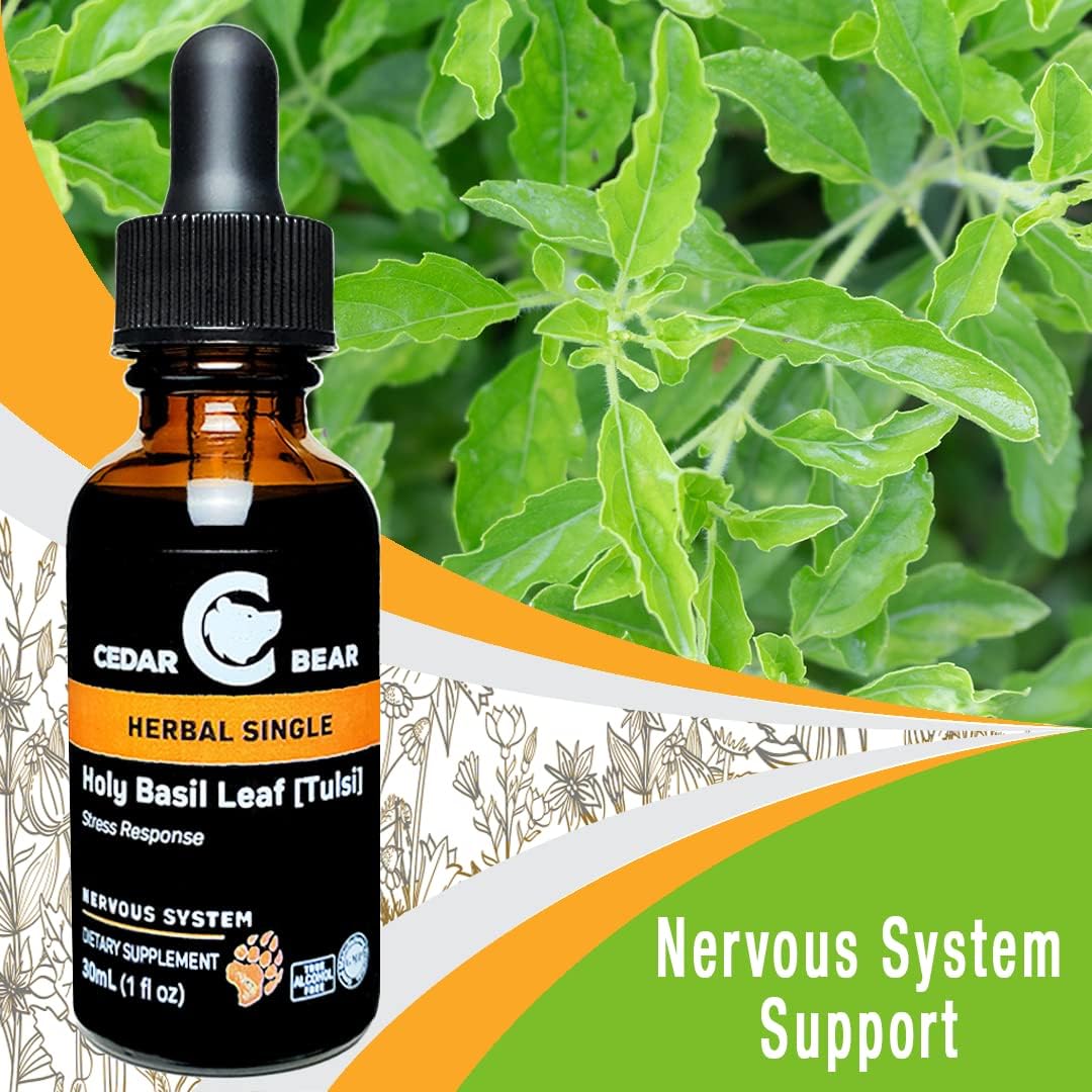 Cedar Bear - Holy Basil Leaf (Tulsi) - Adaptogen Liquid Supplement, 30 ml