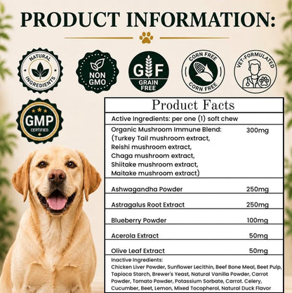 Turkey Tail Mushroom for Dogs - Suplemento – Maitake orgánico: Ayuda a mantener niveles saludables de energía y – Image 4