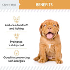 Aceite de Salmón para Perros – 60 Golosinas Soft Chew Omega