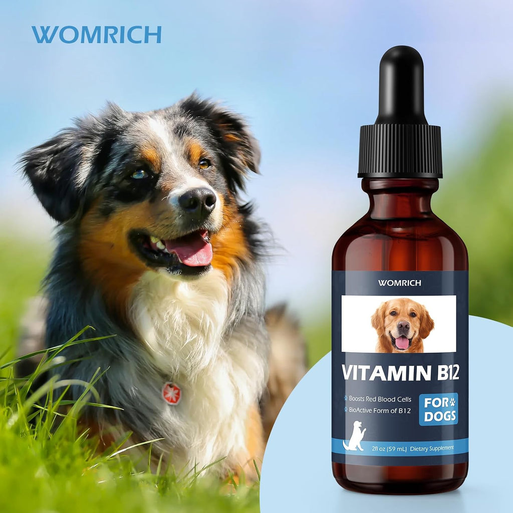 Vitamina B12 para Perros con Metilcobalamina | Estimulante del Apetito y Apoyo Energético | 60 ml