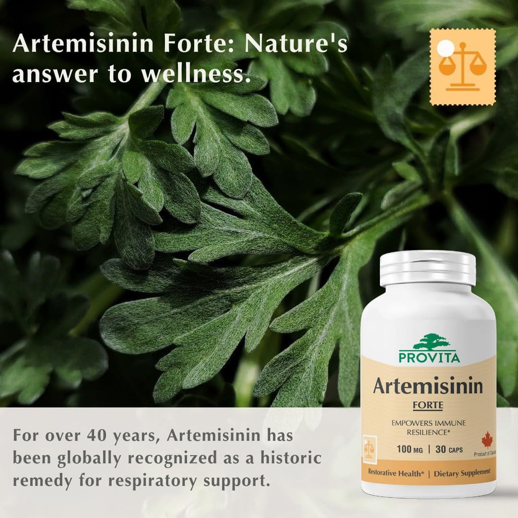 PROVITA Artemisinin Pro | Cápsulas de Extracto de Artemisia annua 50:1 | Apoyo al Bienestar General