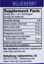 Herbasway Soporte de Memoria (Arándano) 60 ml - Extracto Líquido de Bayas Antioxidantes