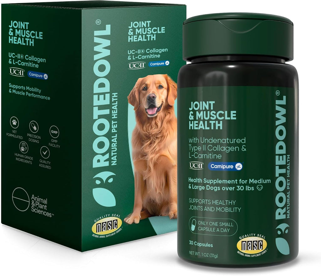 Rooted Owl® Suplemento de Hongos para Perros y Gatos - Apoyo Inmunológico - 60 Cápsulas