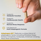 Premier Research Labs Adaptogen-R3 – Complejo de Adaptógenos con Rhodiola Rosea y Maca, 90 Cápsulas Vegetarianas