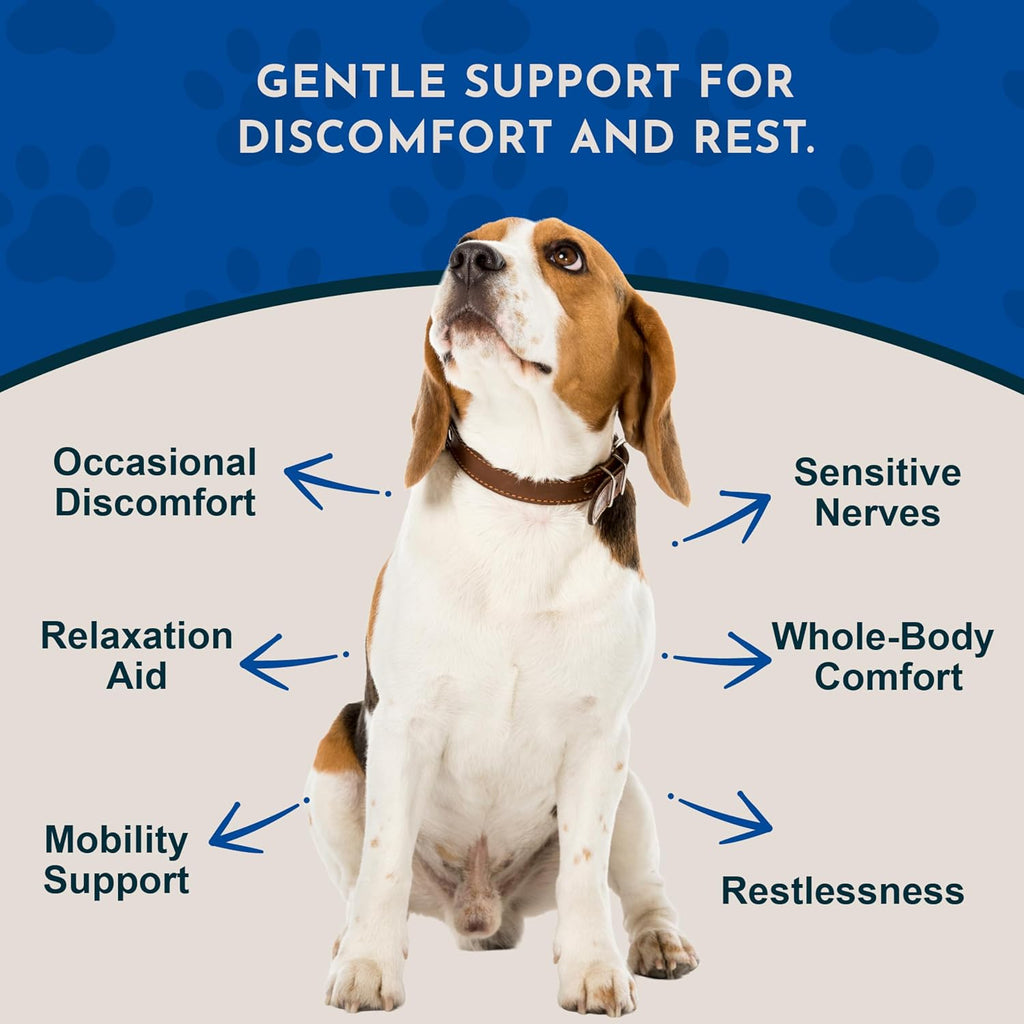 Comfort Plus Herbal Formula for Dogs & Cats, 2 fl oz - Made in USA, California Poppy & Skullcap