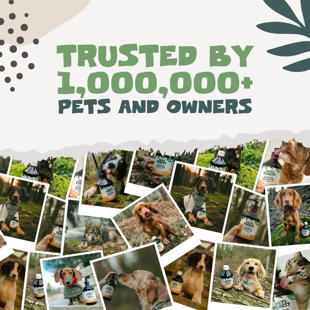 Pets Purest Aceite de Salmón para Perros, Gatos, Caballos y Hurones - 946 ml 100% Puro Premium - Suplemento Natural Omega 3, 6 y 9