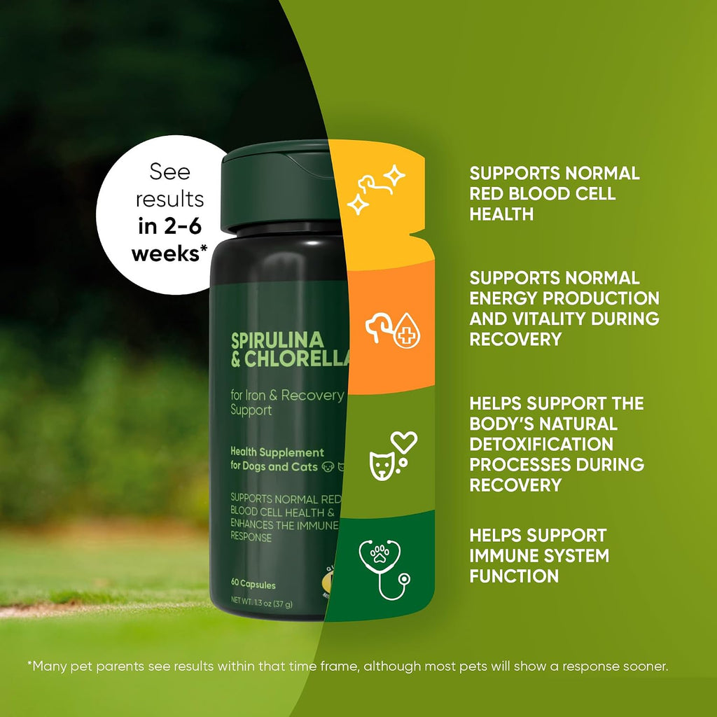 Rooted Owl® Blood Support para Perros y Gatos con Espirulina y Chlorella