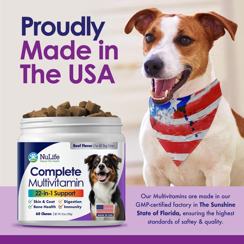 Multivitamínico Masticable para Perros 22 en 1 - Con Mejillón de Labios Verdes y Omega-3 - 60 Masticables Sabor Ternera