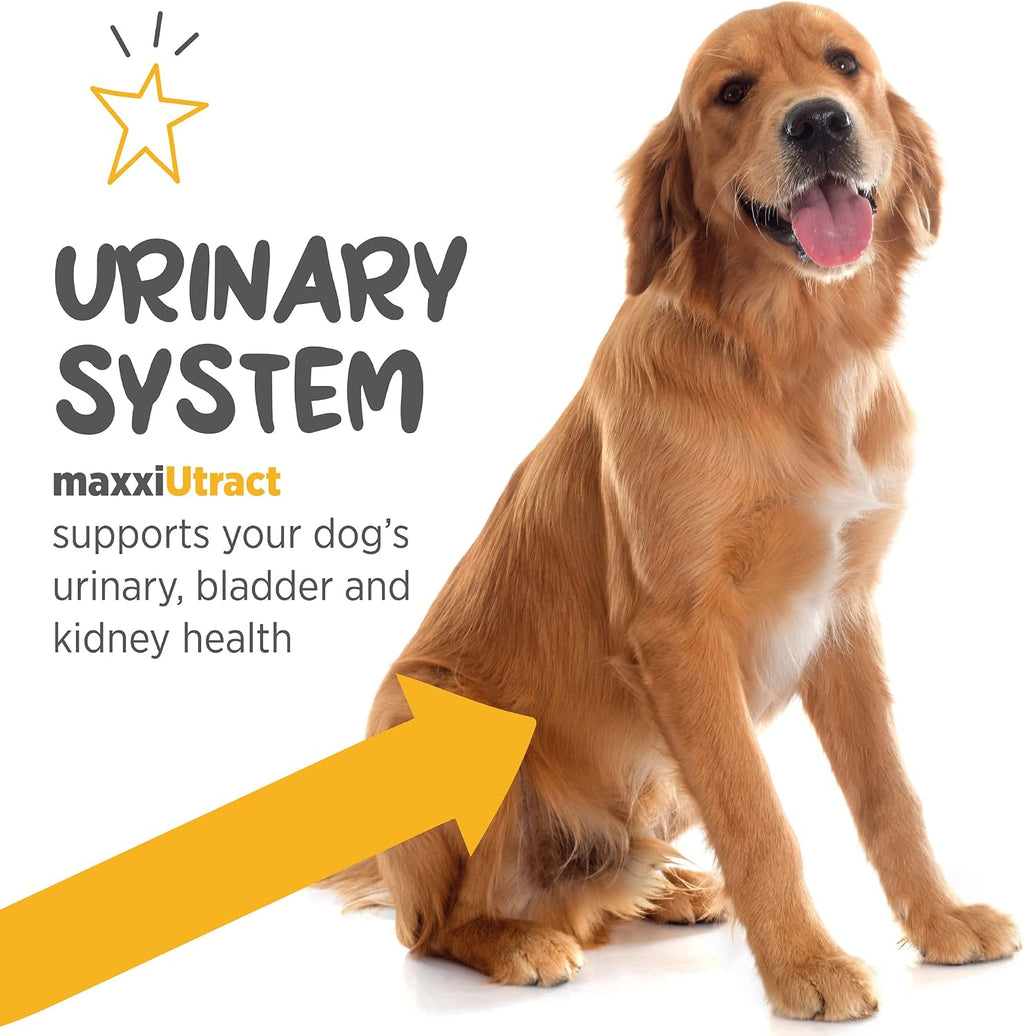 maxxiUtract Apoyo Urinario y Vesical para Perros - Suplemento Natural en Polvo con D-Manosa y Arándano - 150 g