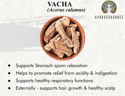 Calamus Powder 100 Gm | Vacha Powder | Acorus Calamus | Highly Aromatic herb | Acorus Calamus Root Powder | Vasambu – Image 2