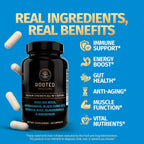 Rooted Origins Cápsulas de Sea Moss – Irish Sea Moss Avanzado, Magnesio, Ashwagandha, Aceite de Semilla Negra, Raíz de Bardana y Bladderwrack – Apoyo Inmune, Salud Digestiva, Energía y Más – 60 Cápsulas