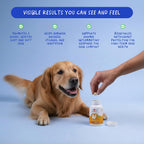 Omega 3 Fish Oil for Dogs 120 Tablets - Skin, Coat & Joint Support