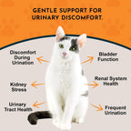 Animal Essentials Tinkle Tonic - Apoyo Urinario para Perros y Gatos, 1 fl oz