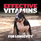 Bully Max Multivitamínico 9-en-1 para Perros, 75 Masticables Blandos - Suplemento con Glucosamina, Probióticos y Omega-3