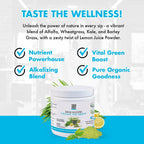Yes You Can! Drink Booster - Mezcla Orgánica de Superfoods Verdes en Polvo (2 Pack)