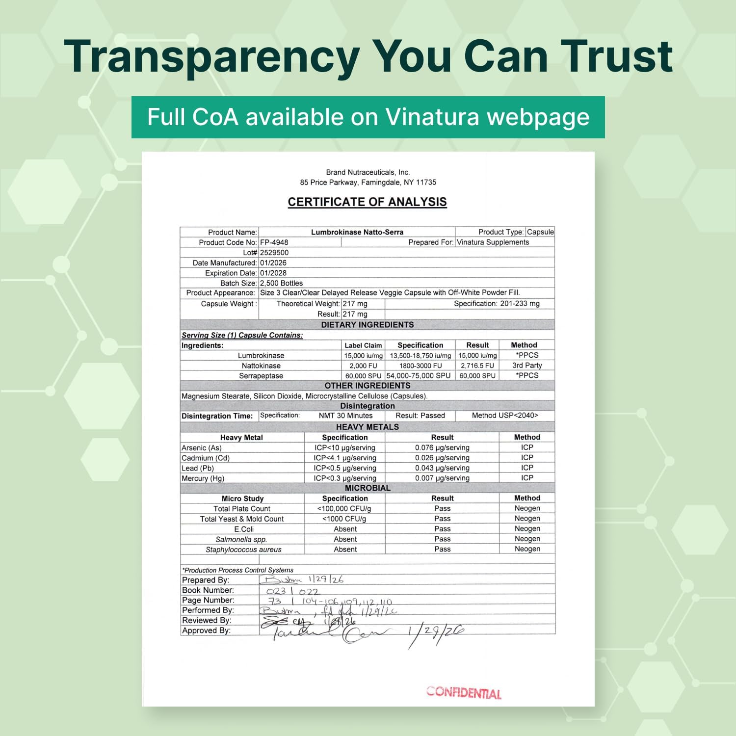 VINATURA Lumbrokinase Serrapeptase Nattokinase - 2000 FU, Enzimas para la Circulación Sanguínea, 60 Cápsulas